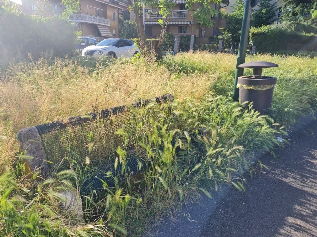 Una città verde non sarà mai una città pettinata